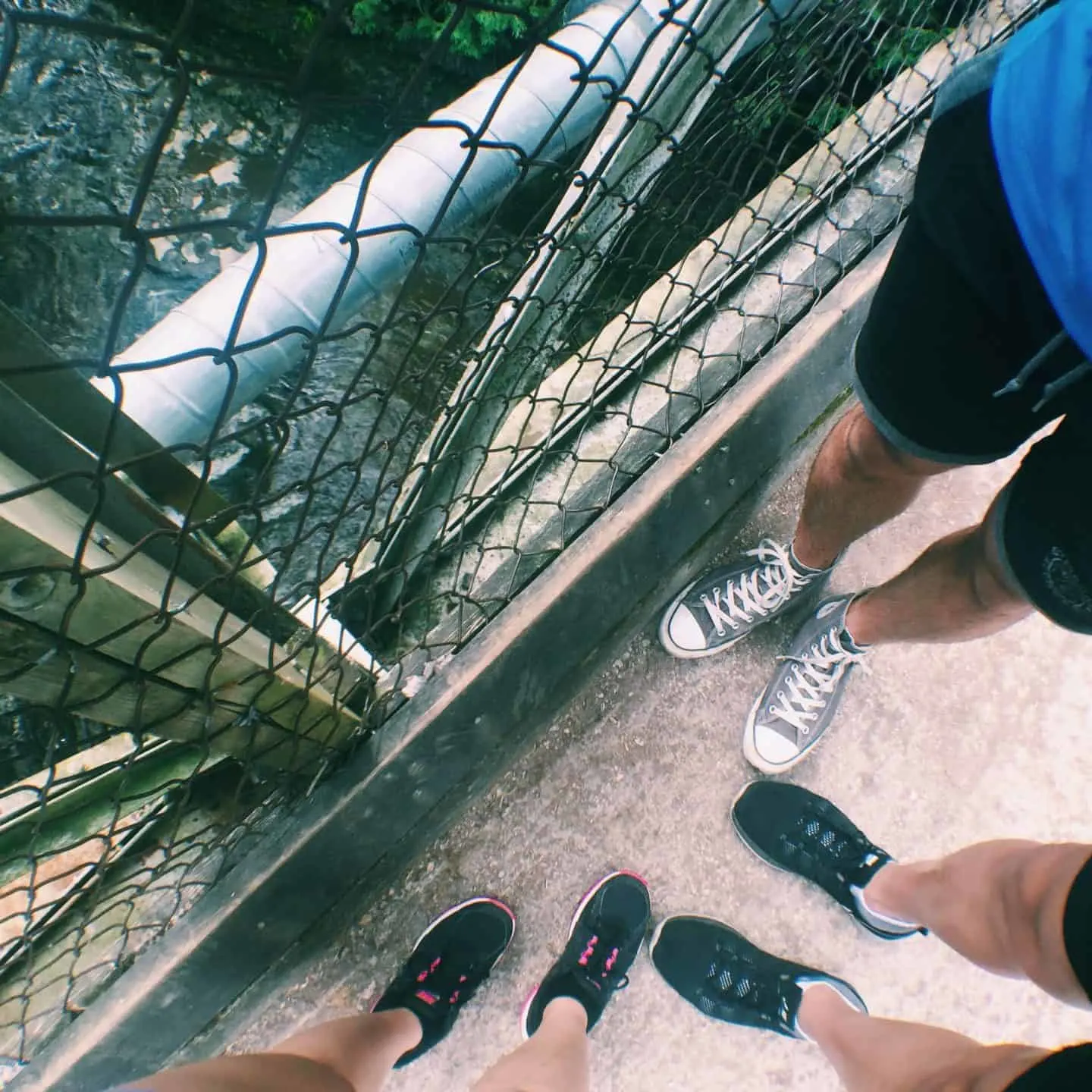 Hiking in the Elora Gorge Conservation Area in Elora, Ontario