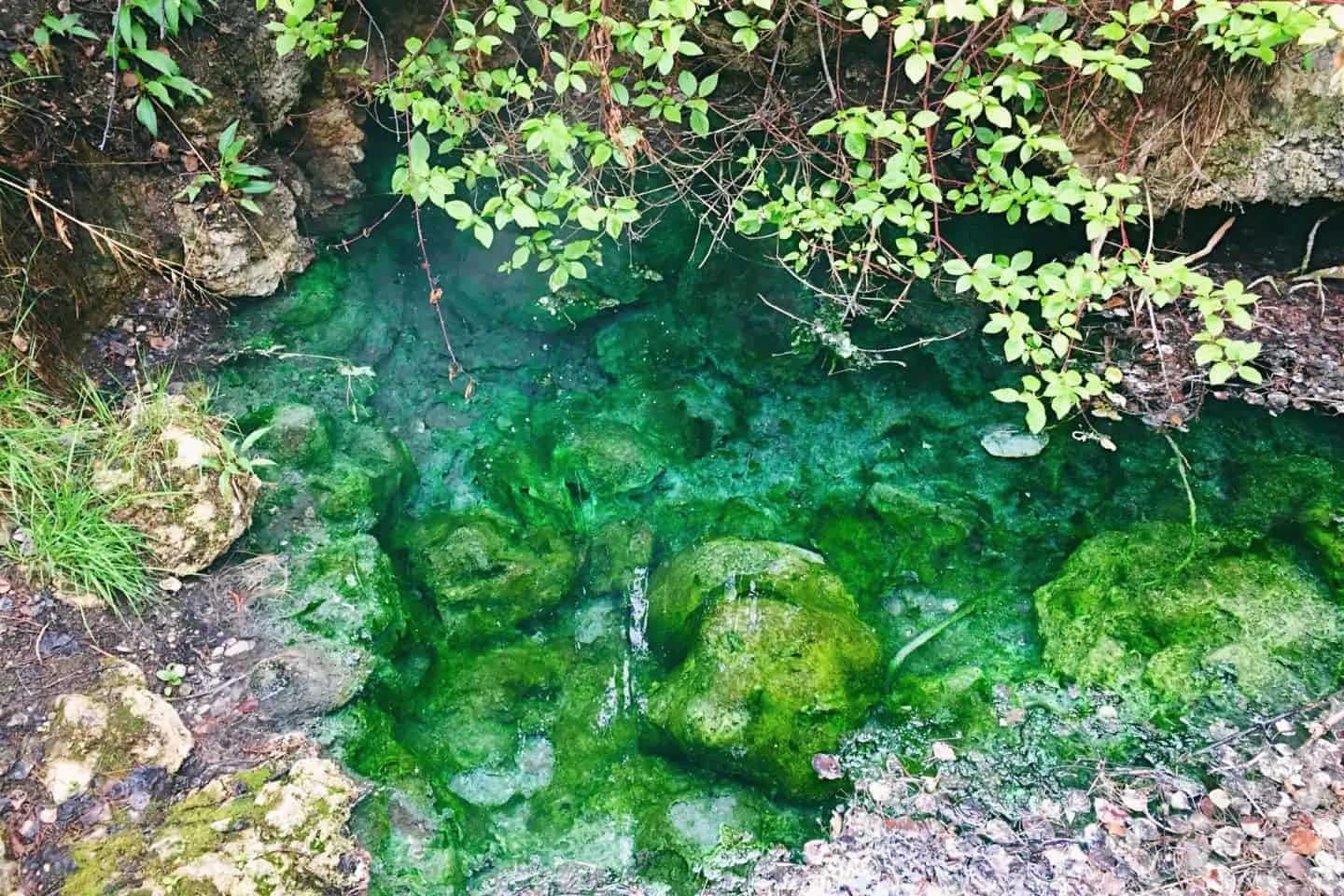 Cave and Basin Historical Site, Banff, Alberta