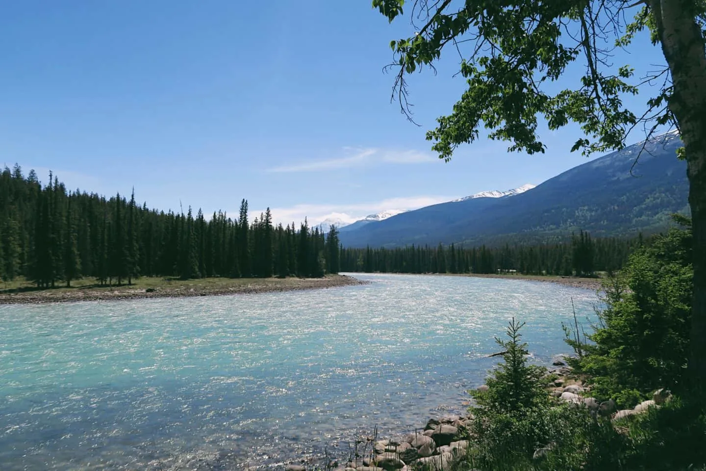 Driving along Icefields Parkway in Banff, Alberta