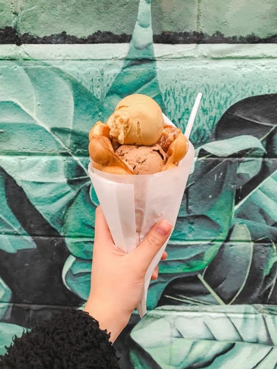 12 Best Vegan Toronto Ice Cream Spots