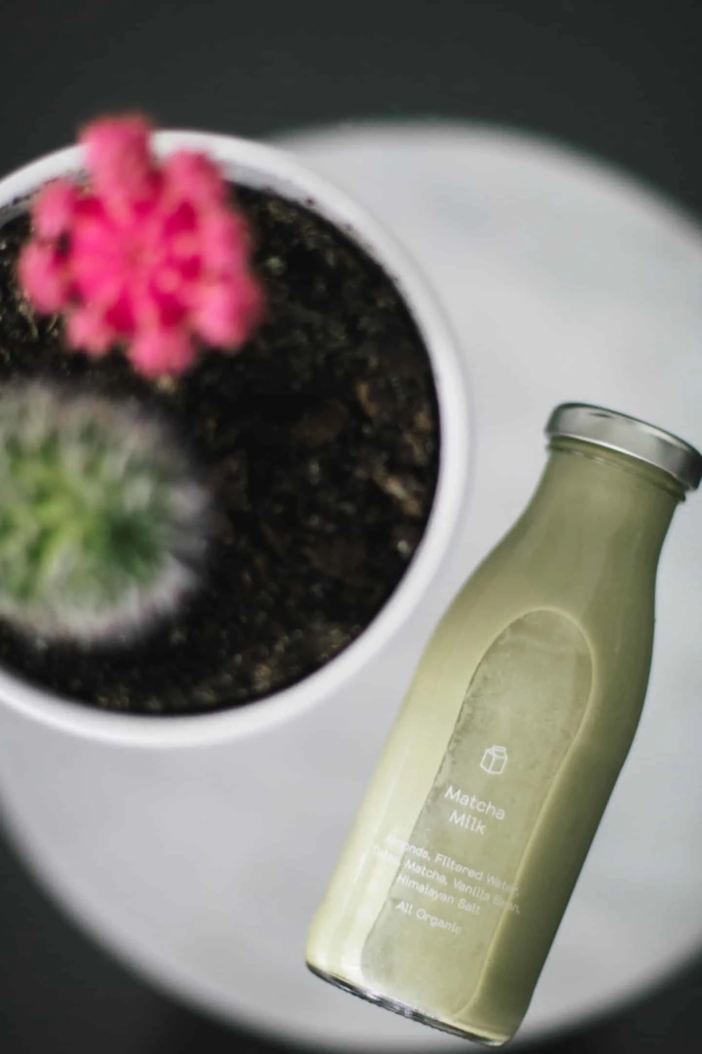 Greenhouse Juice Matcha Milk with succulent cactus plant flat lay