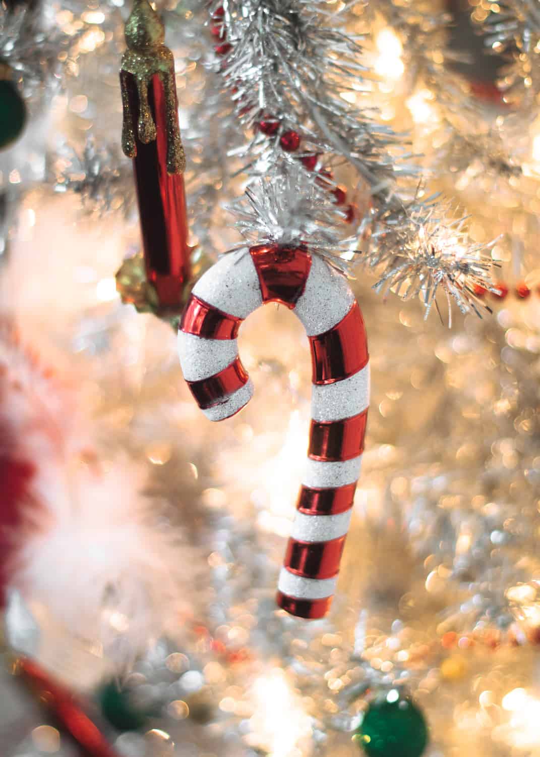 Candy cane ornament on Christmas tree