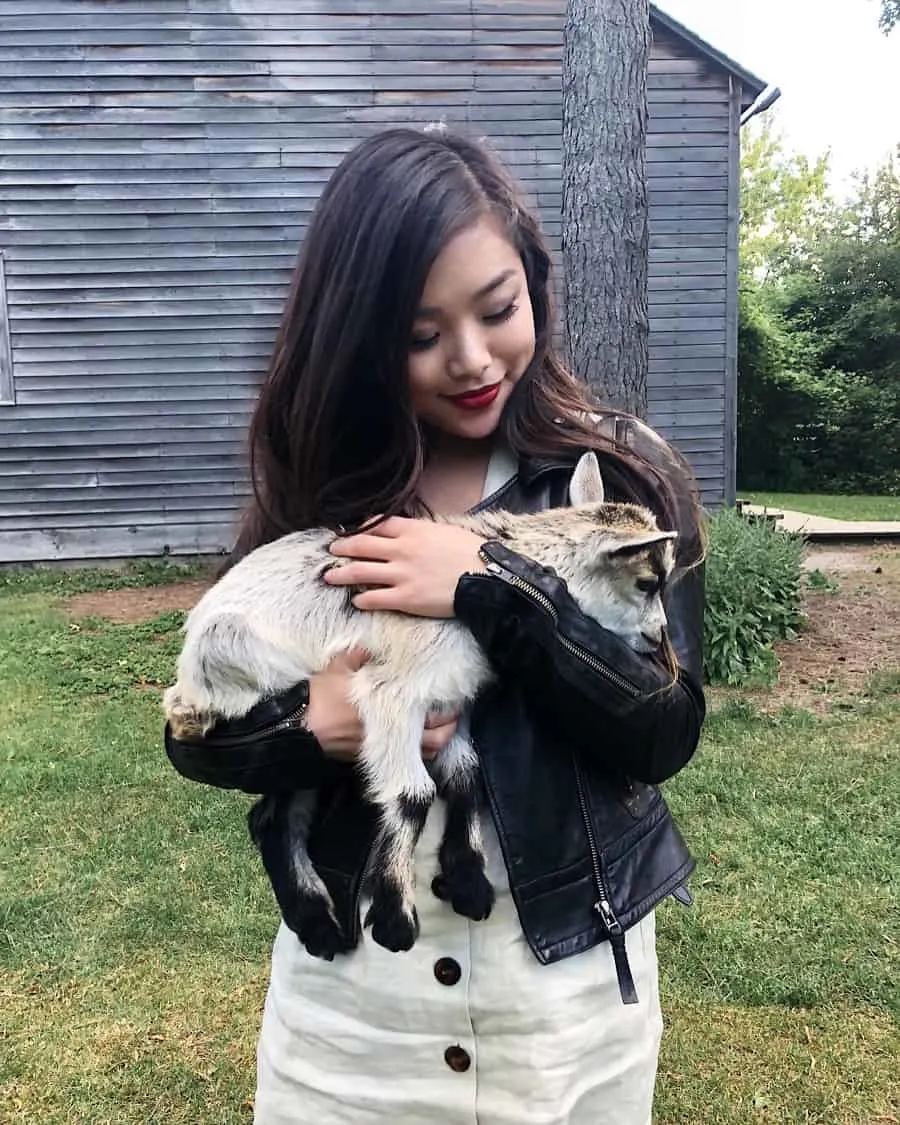 Baby goat yoga at Black Creek Pioneer Village in Toronto, Ontario