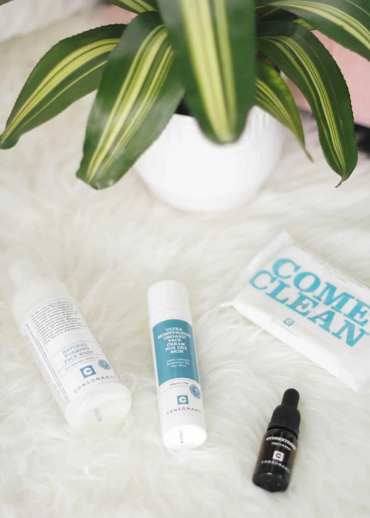 Clean winter skincare routine with Consonant Skincare