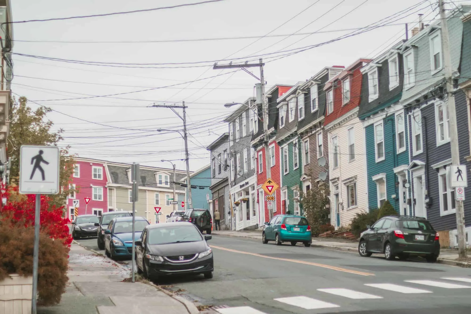 Colourful houses in St. John's, Newfoundland