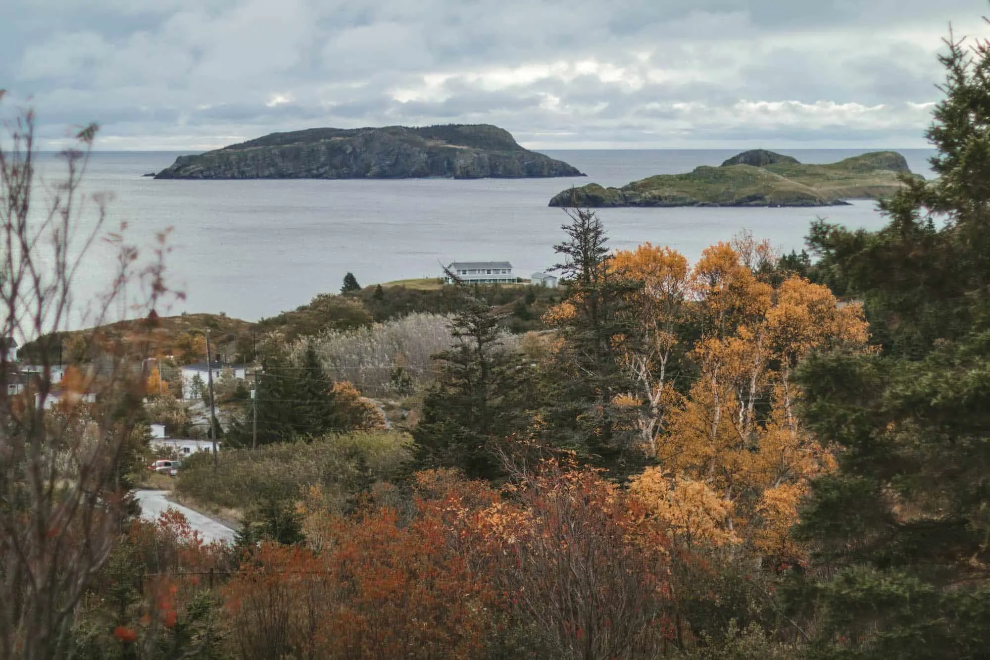 Tors Cove along the Irish Loop drive in St. John's, Newfoundland