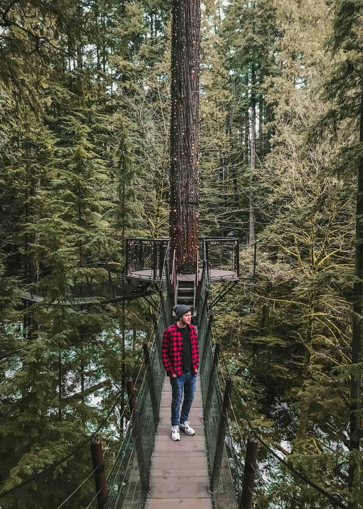 During the holiday and winter season, the Capilano Suspension Bridge in North Vancouver lights up with shimmering lights