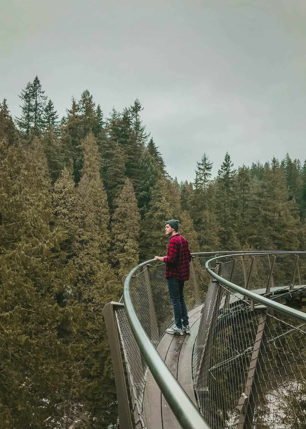 During the holiday and winter season, the Capilano Suspension Bridge in North Vancouver lights up with shimmering lights