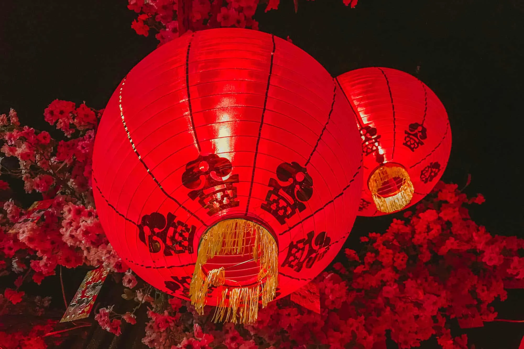 Lunar New Year at FlyOver Canada in Vancouver, British Columbia