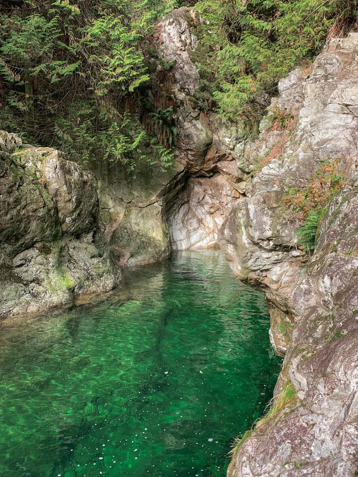 The gorge at Lynn Canyon in North Vancouver, British Columbia