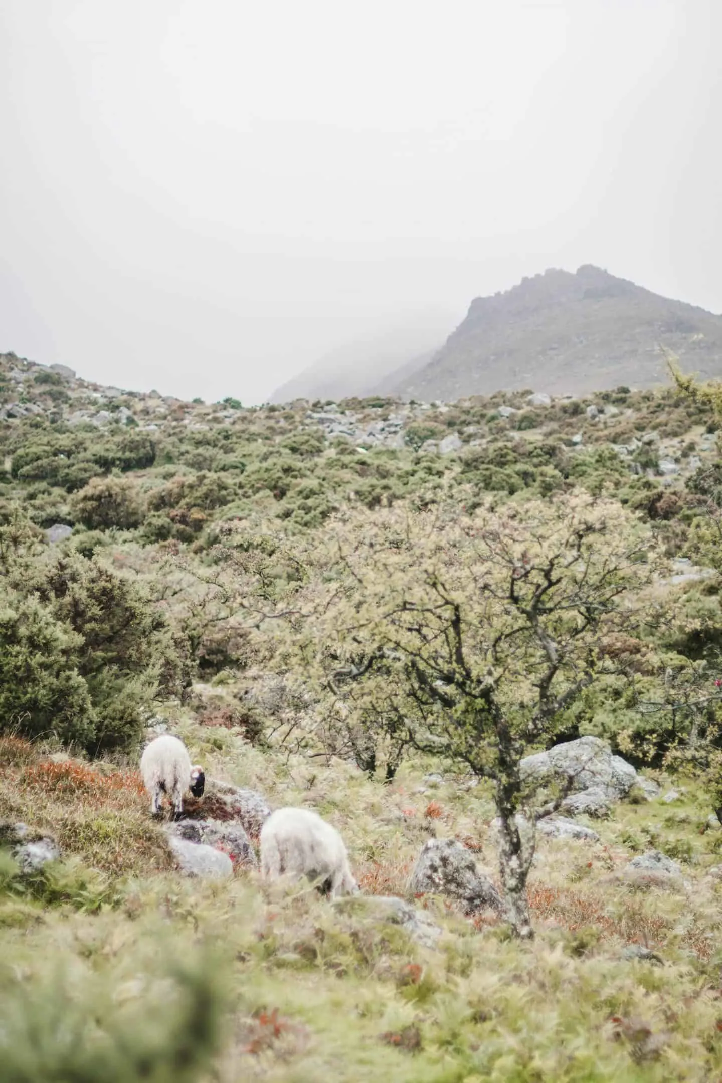 Coumshingaun Lough Loop Walk in Waterford, Ireland