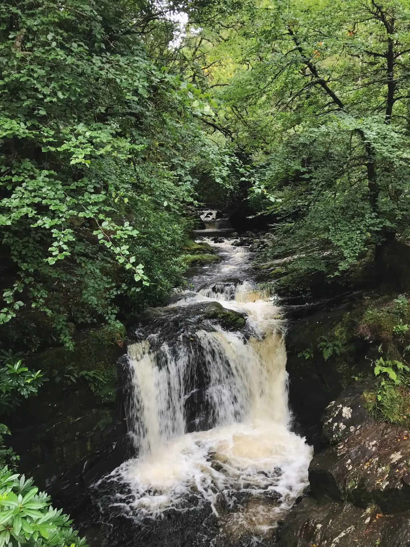 Torc Waterfall in Killarney National Park along Ireland's Ring of Kerry drive