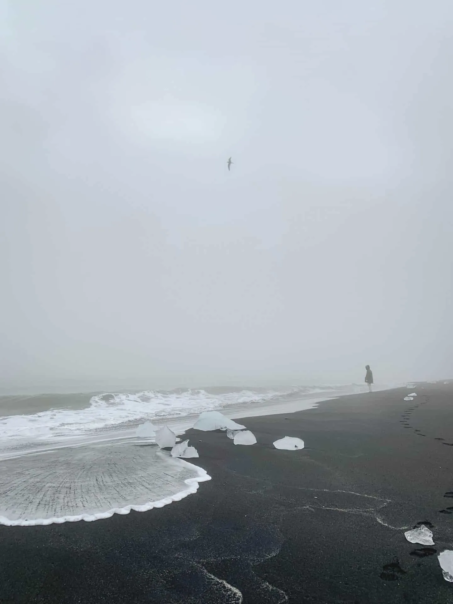 Black Diamond Beach along the Ring Road in Iceland