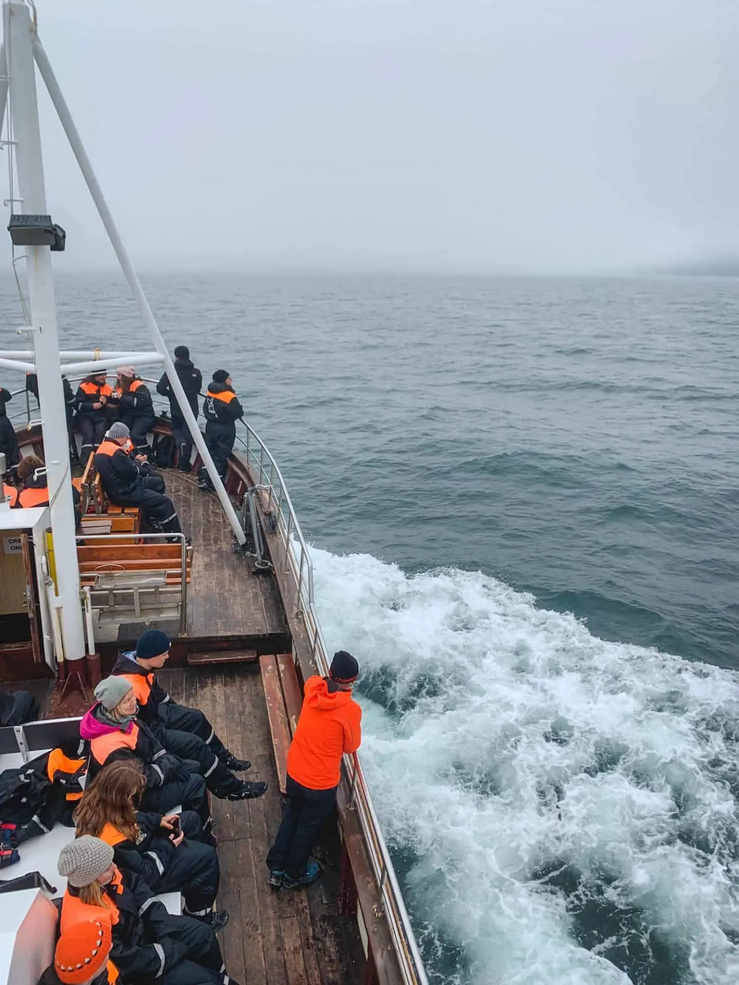 Whale watching in Húsavík, North Iceland