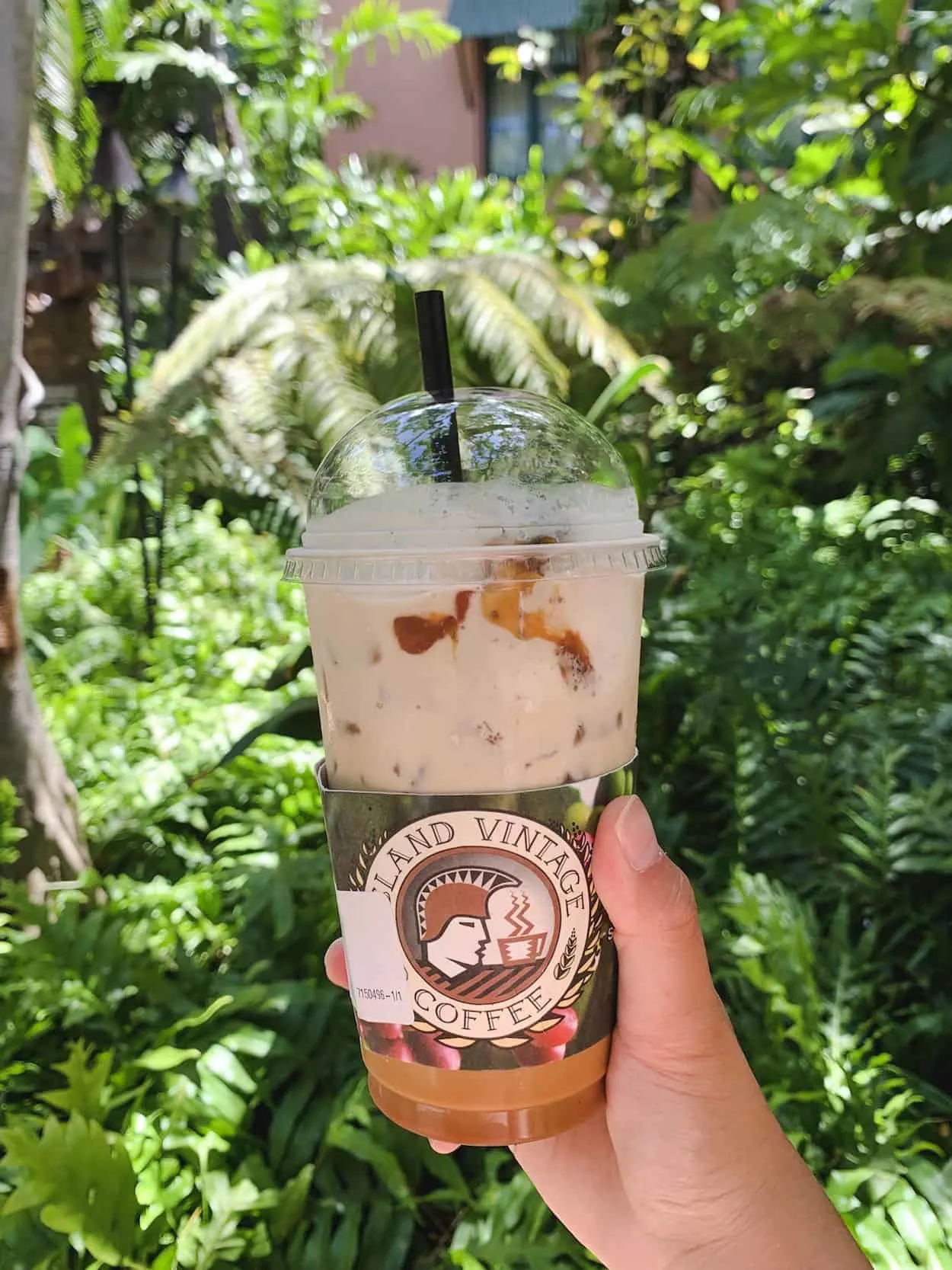 Island Vintage Coffee in Waikiki, Oahu, Hawaii