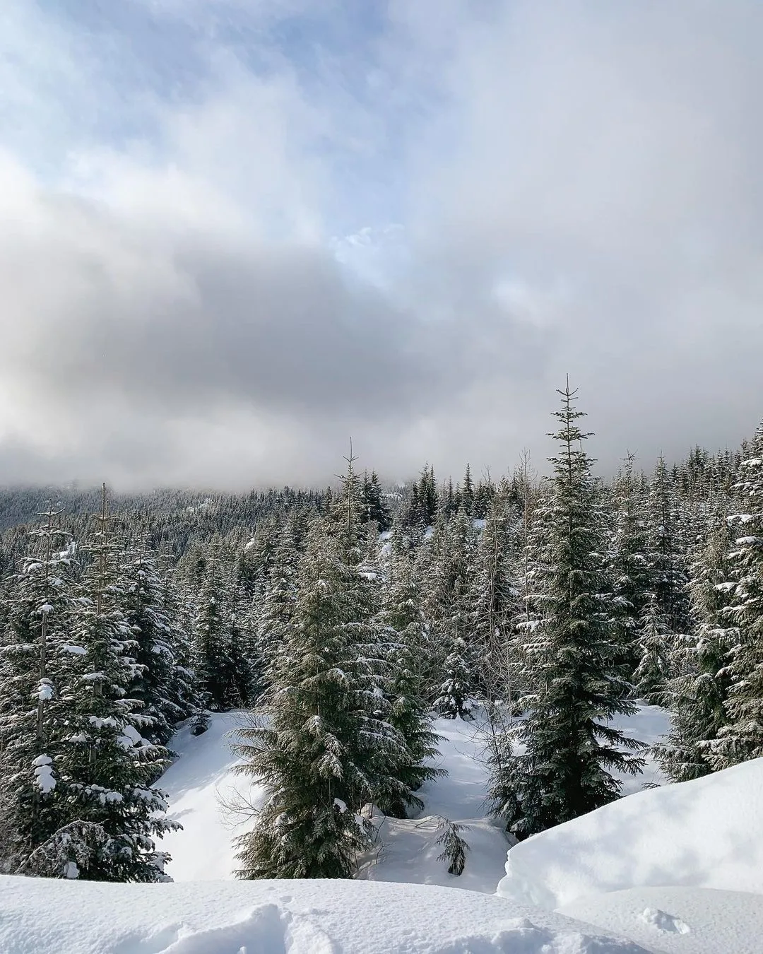 Winter in Whistler, British Columbia