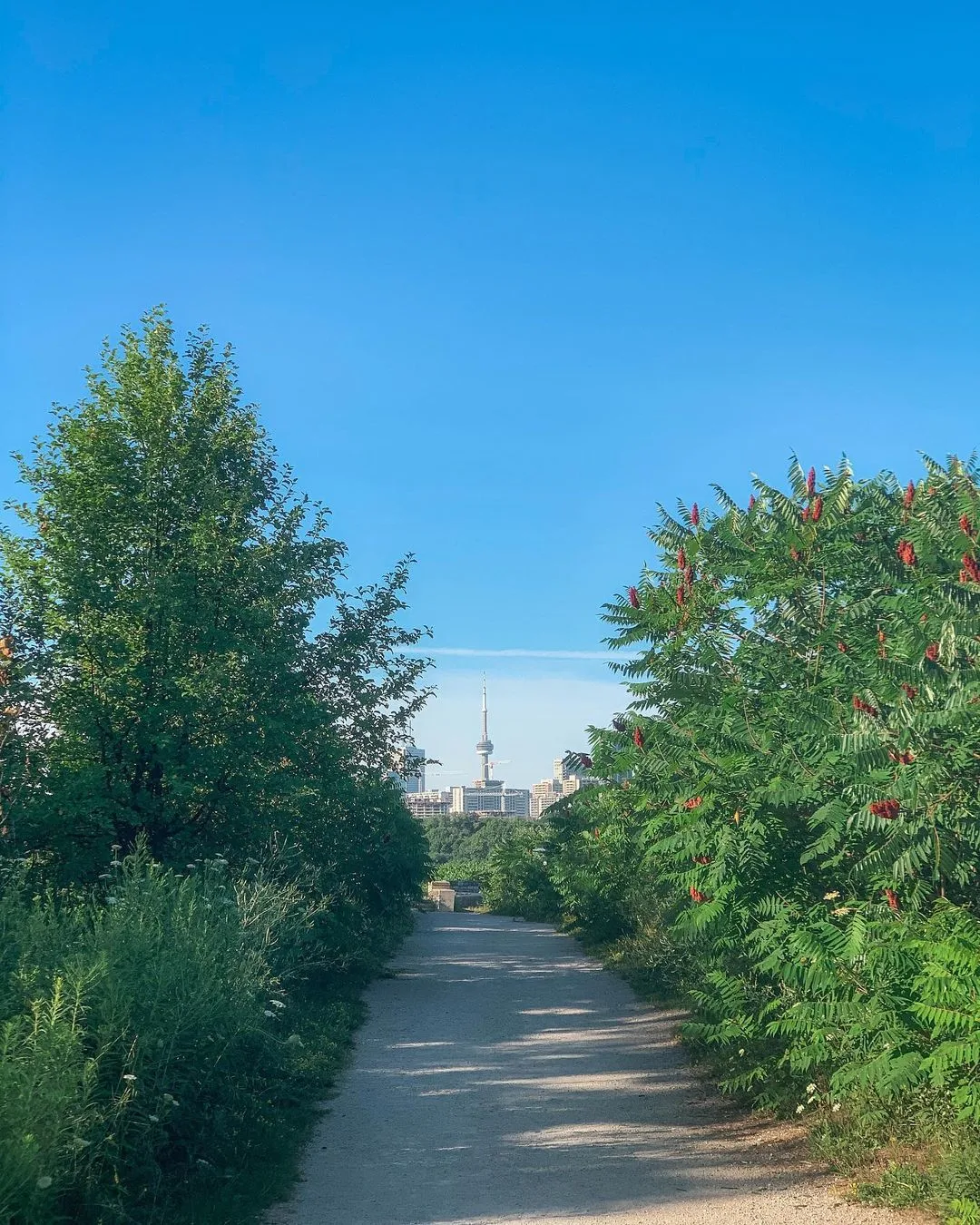 Evergreen Brick Works in Toronto