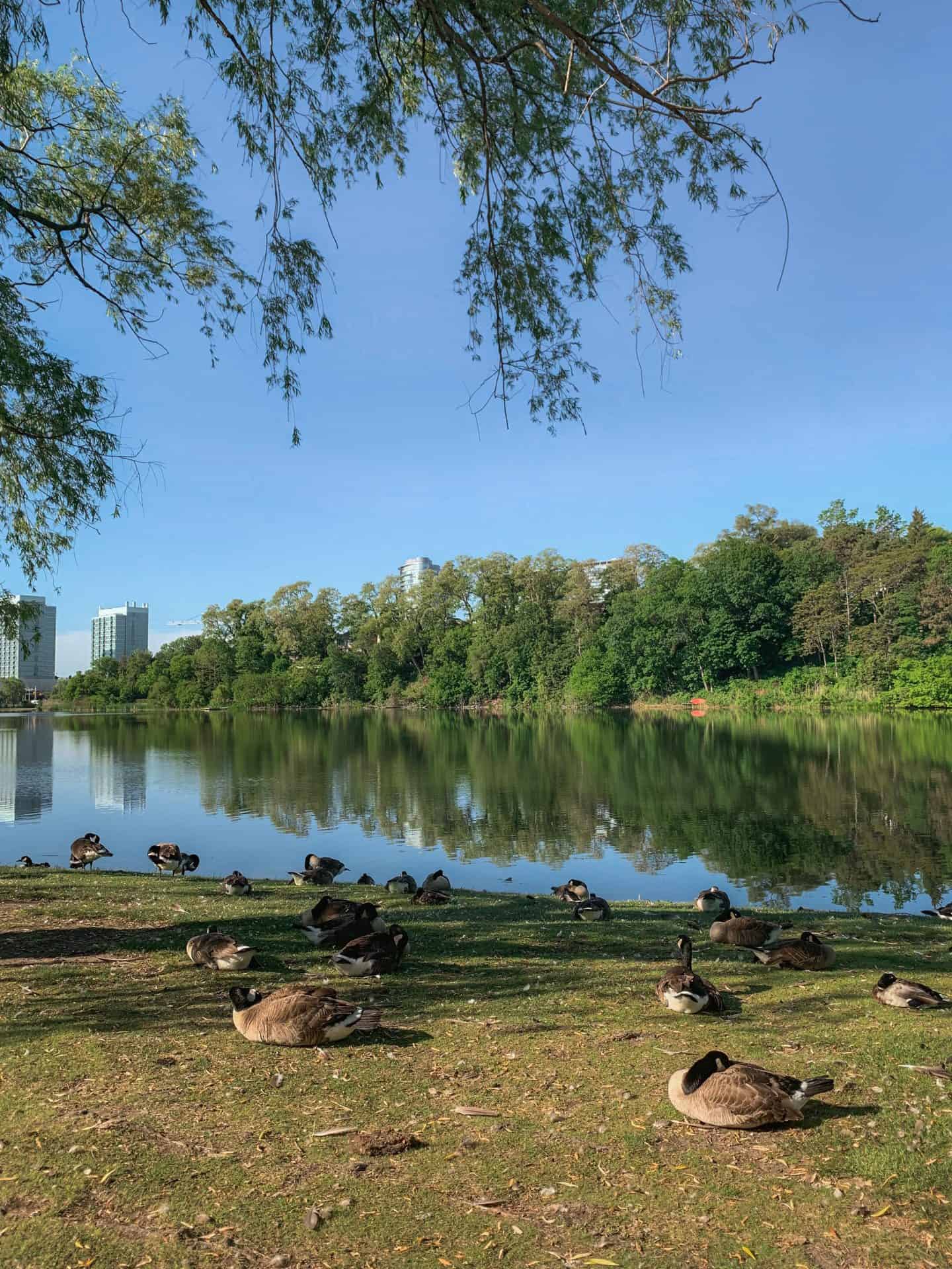 High Park in Toronto, Ontario