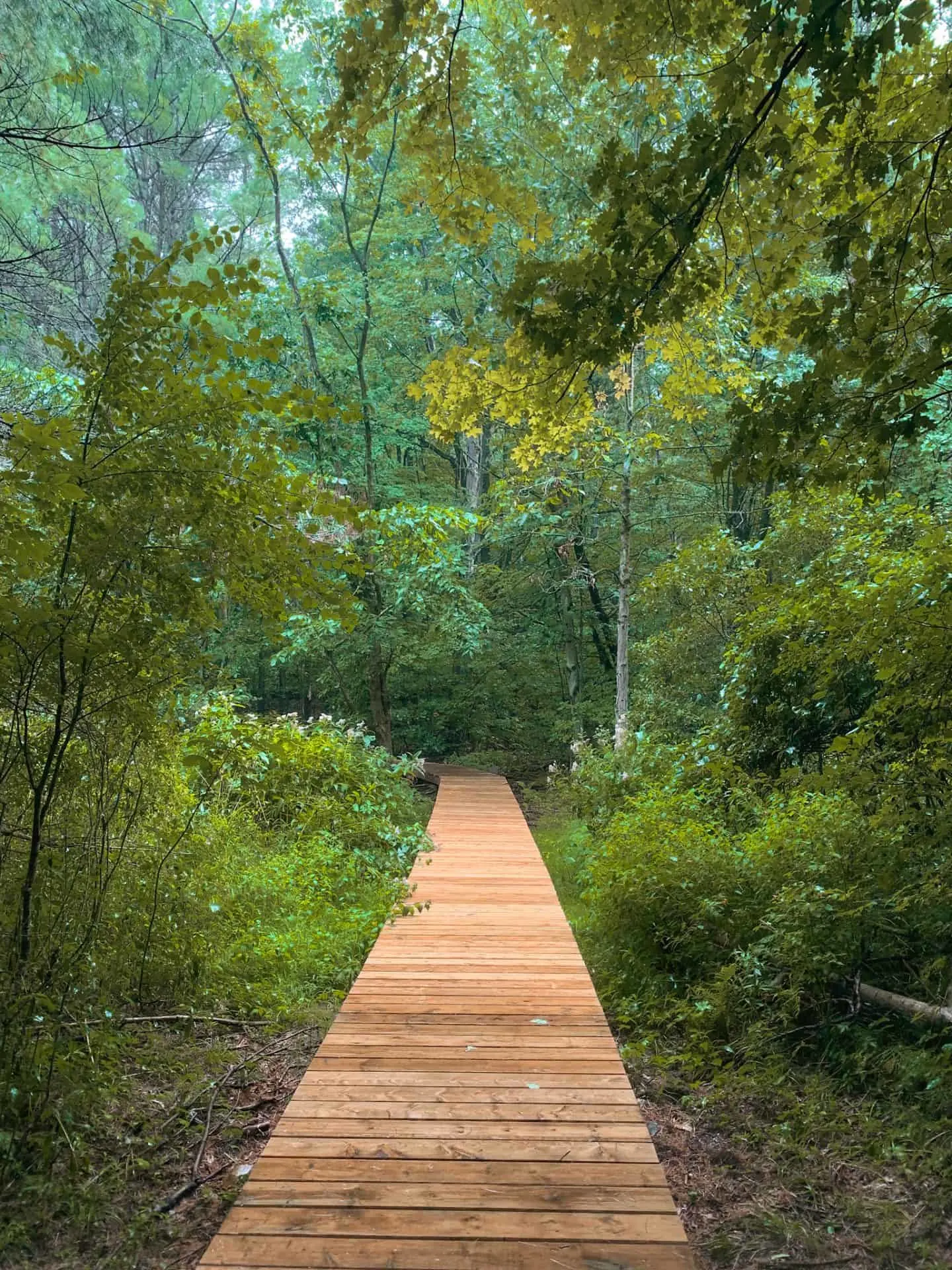 Jones Creek Trails in Gananoque, Ontario