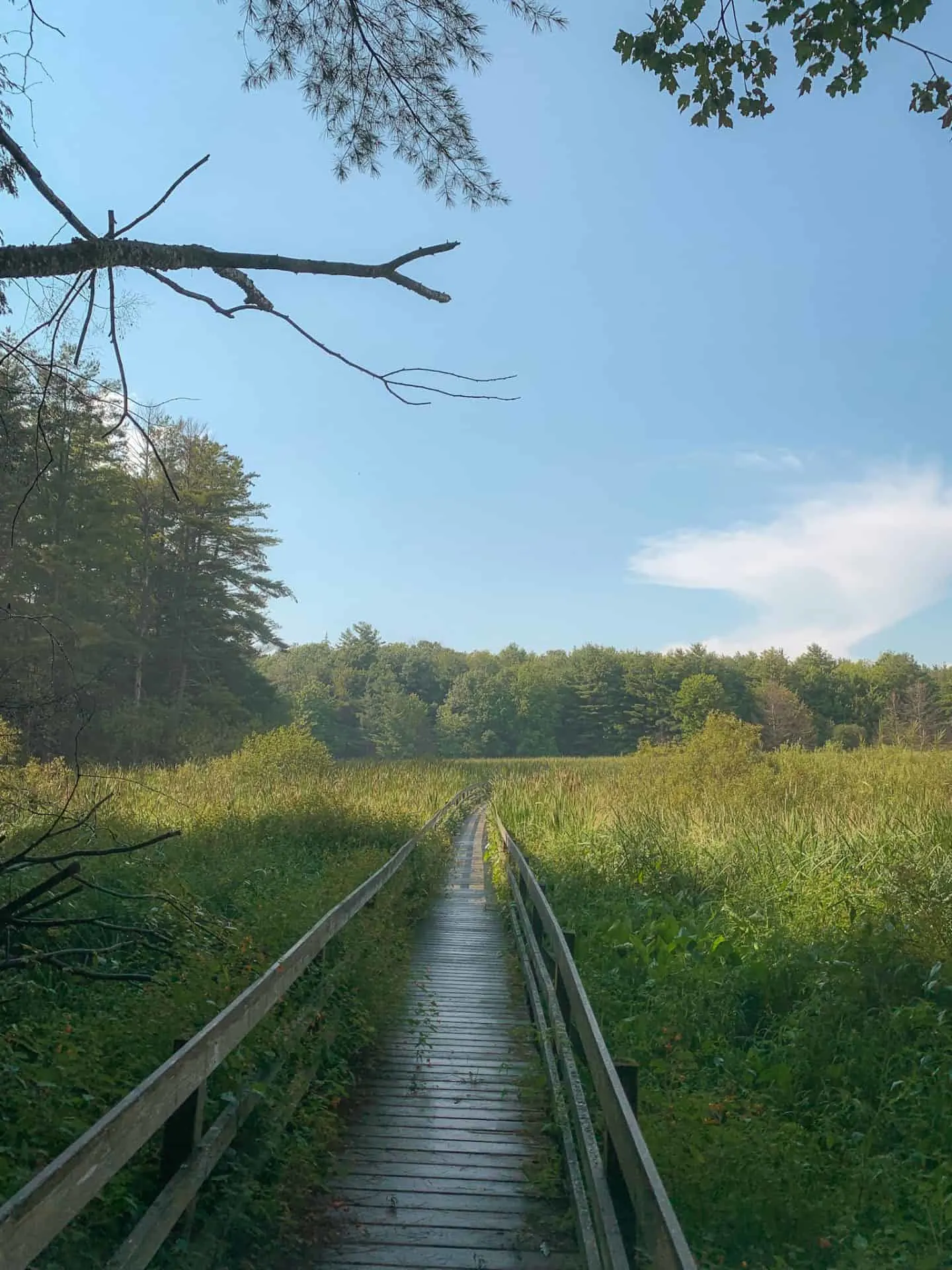 Jones Creek Trails in Gananoque, Ontario