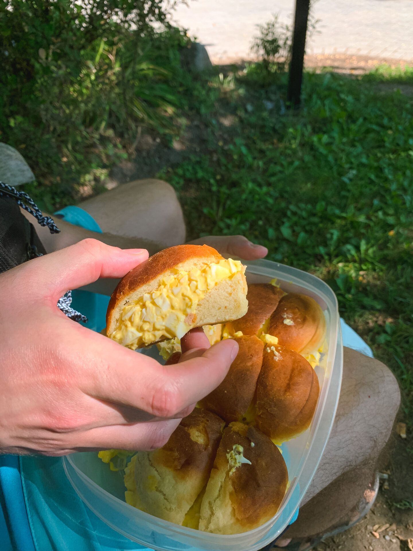 Japanese egg sandos for a picnic at the Toronto Islands