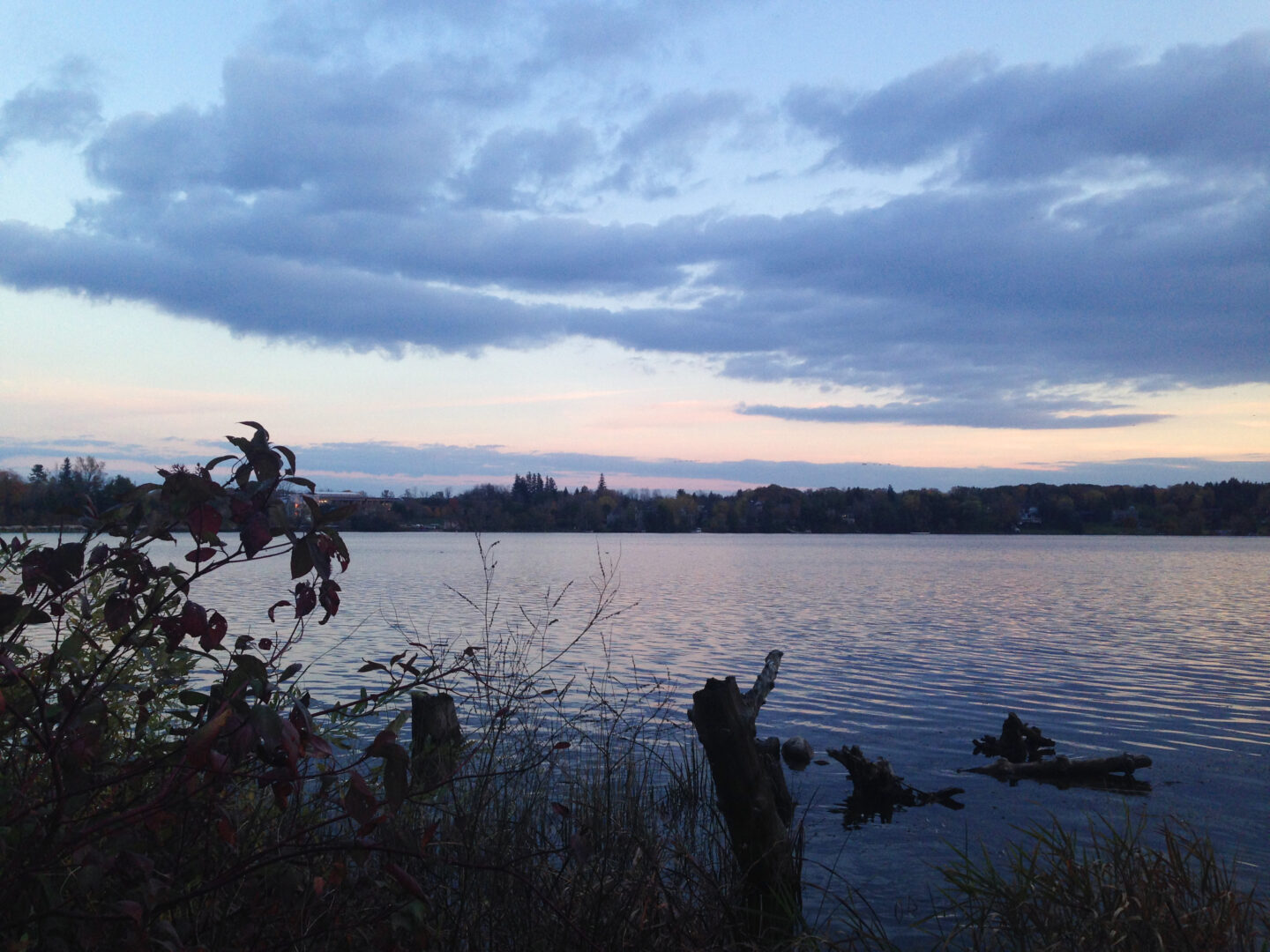 Lake Wilcox in Richmond Hill, Ontario