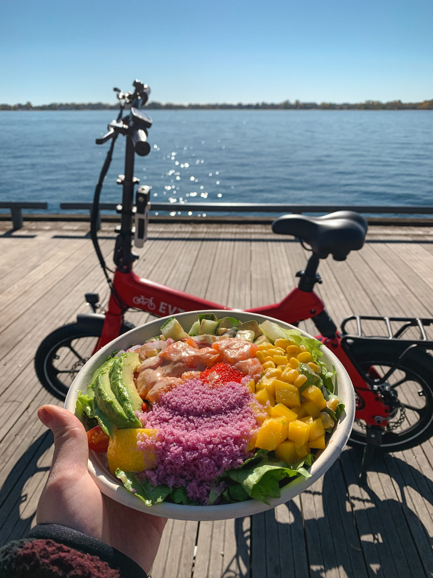 Rolltation picnic at the Toronto Harbourfront
