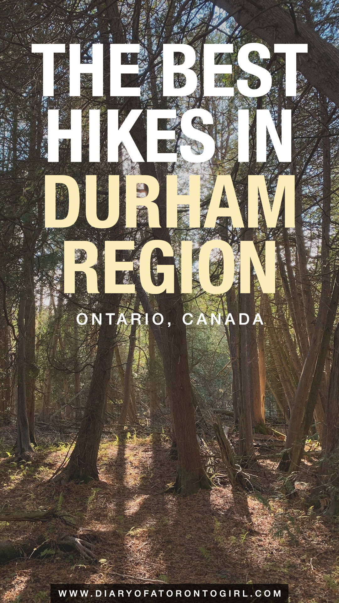 The best Durham Region hiking trails to go on, whether you're looking for a relaxing spot to walk or some more intense and vigorous hikes!