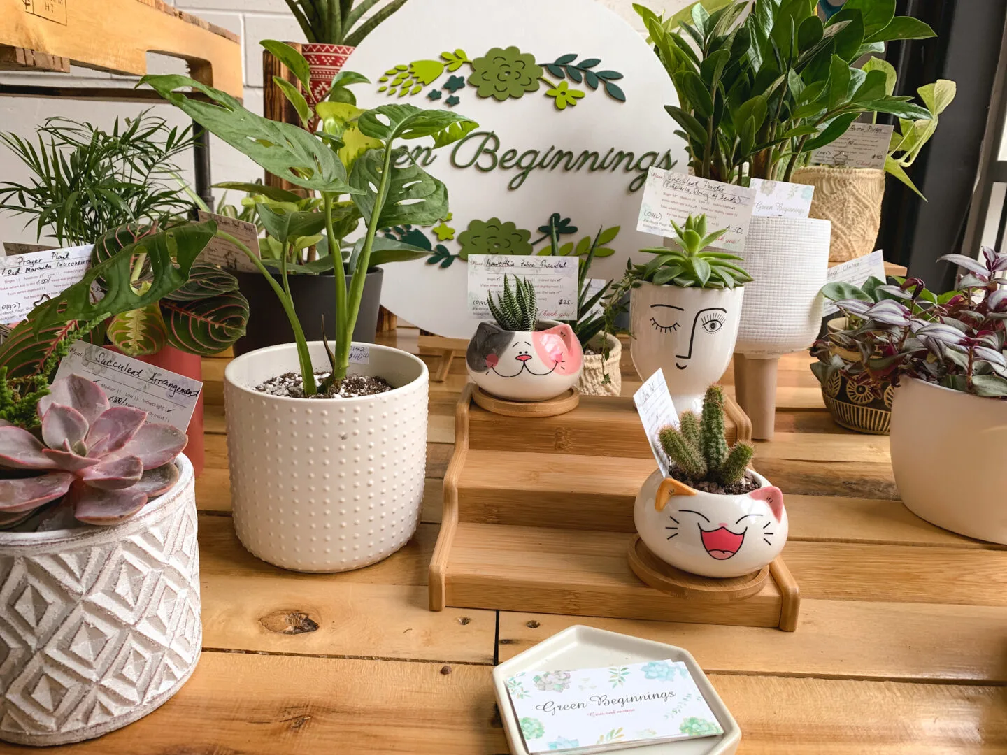Green Beginnings at Markets by Dream Day in Bowmanville, Ontario