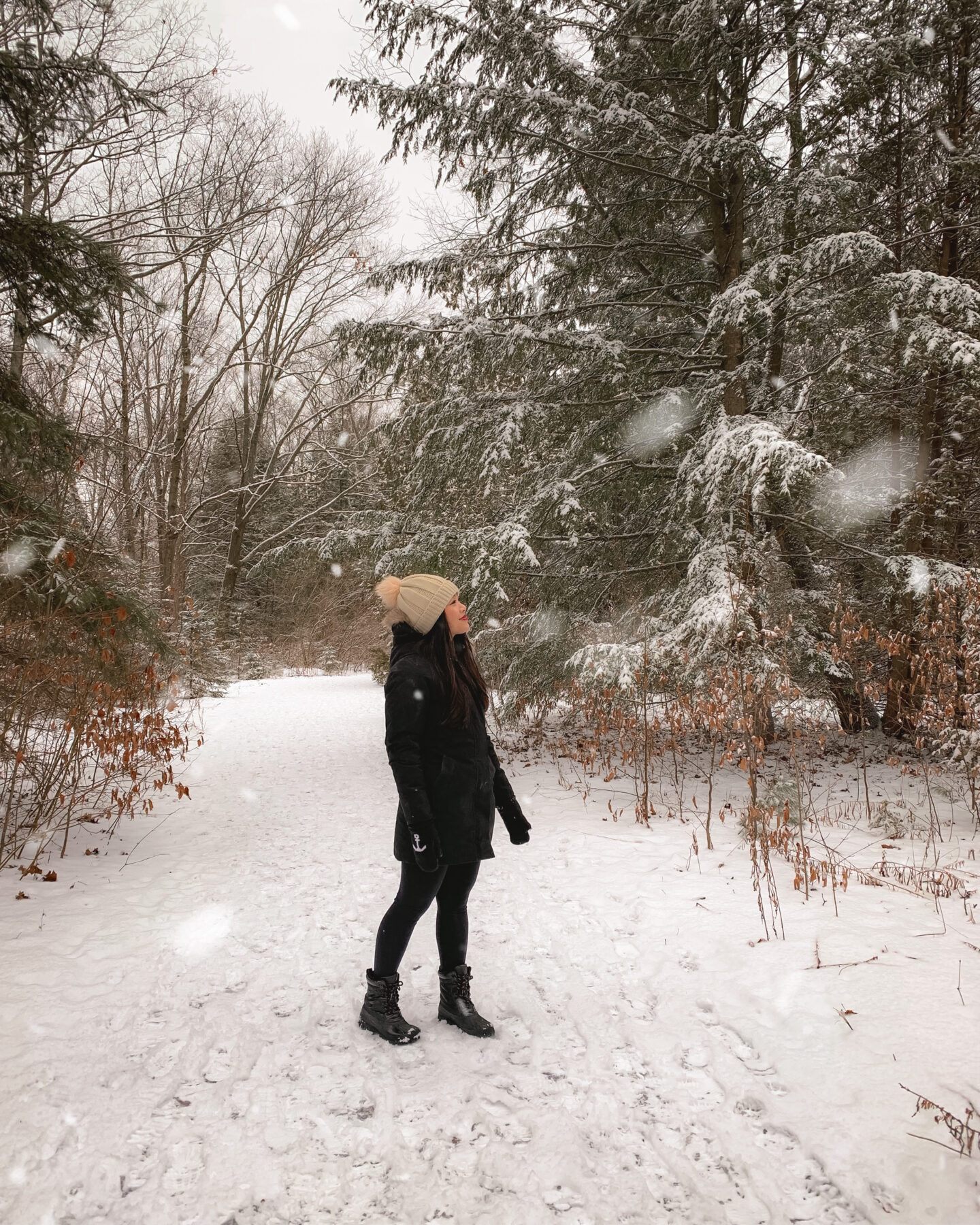 Hiking in Heber Down Conservation Area, Bowmanville, Ontario