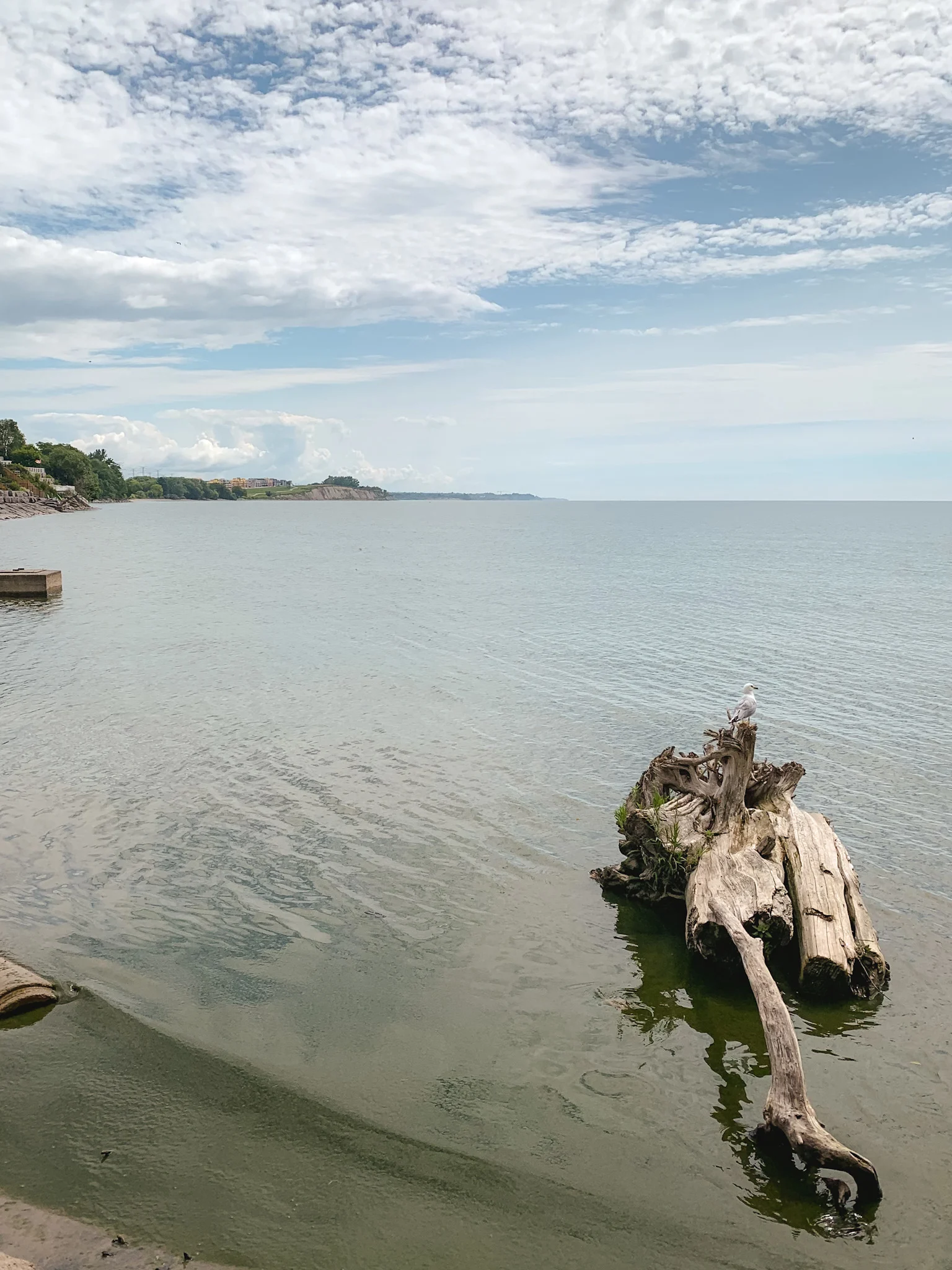 Port Darlington East Beach in Bowmanville, Ontario