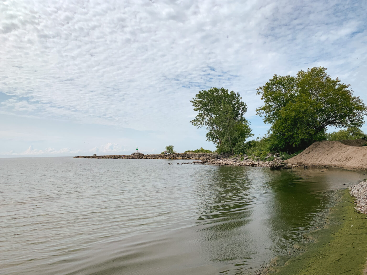 10 Best Things to Do in Bowmanville, Ontario (Activities, Hikes, & More!)