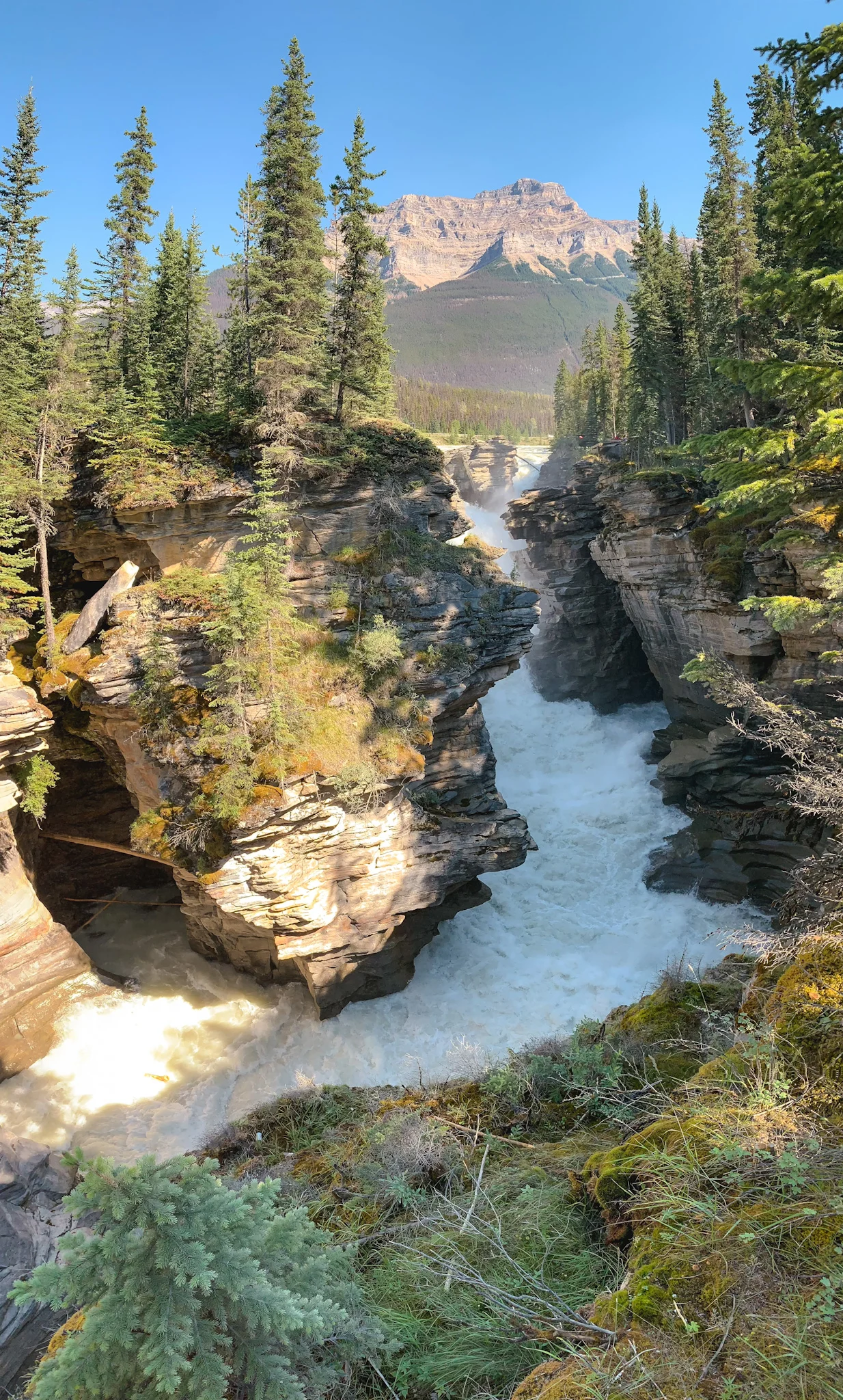 Athabasca Falls in Jasper National Park, Alberta