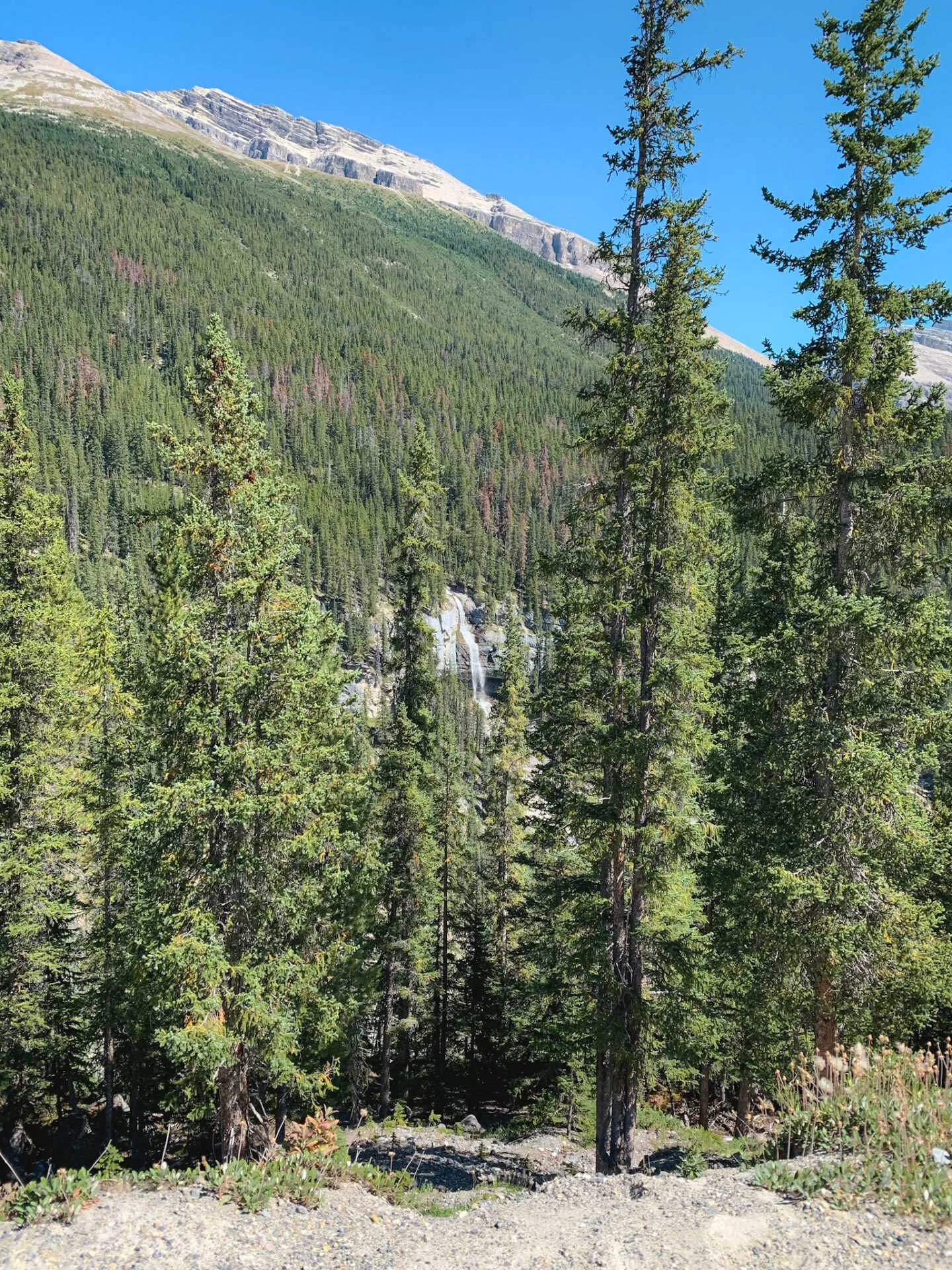 Bridal Veil Falls in Banff, Alberta