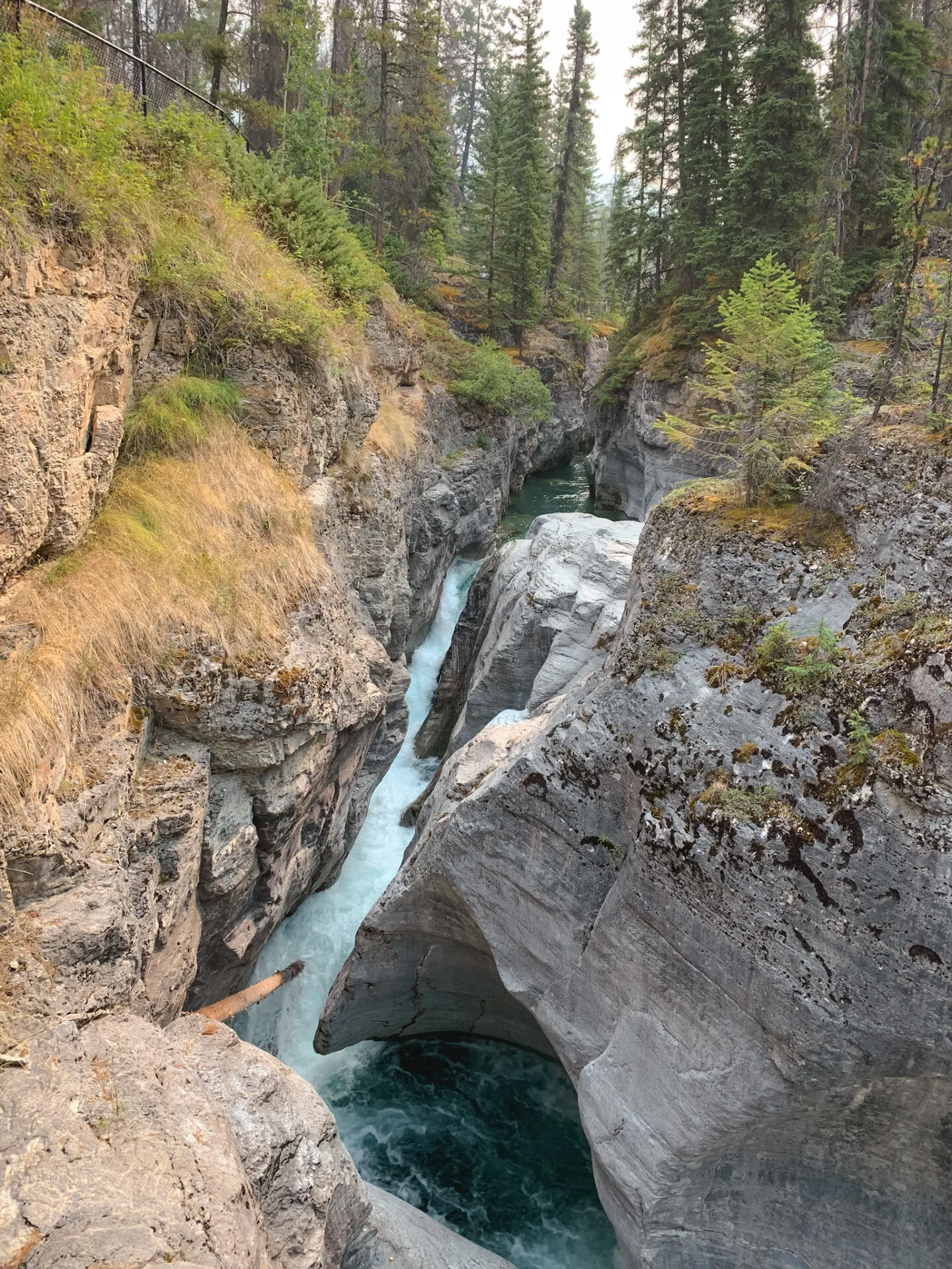 Maligne Canyon in Jasper National Park, Alberta