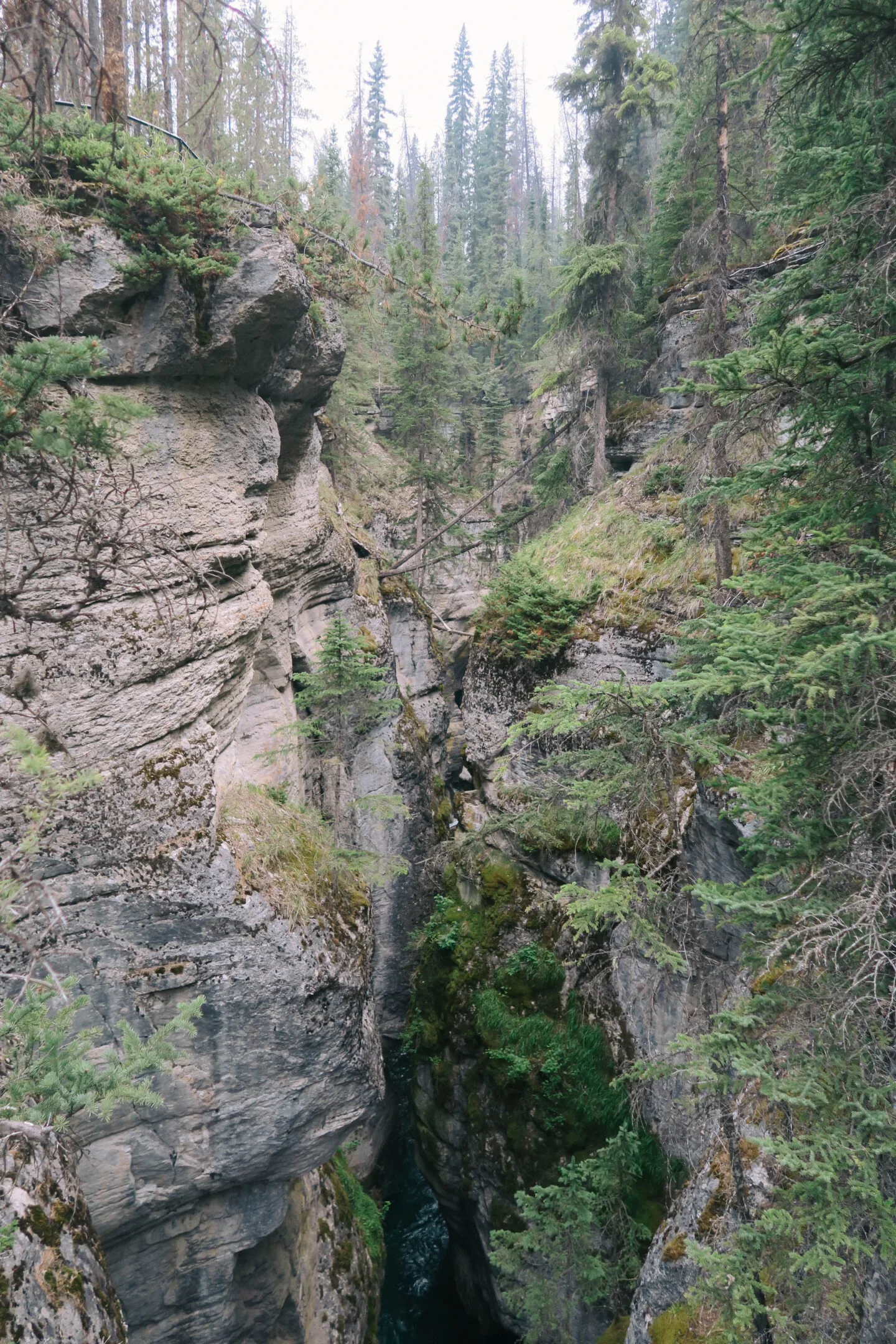 Maligne Canyon in Jasper, Alberta