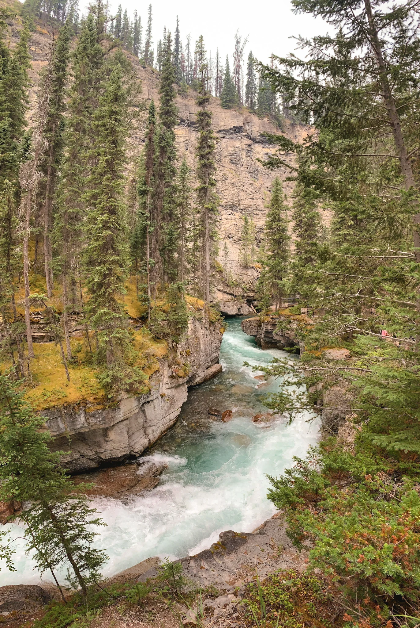 Maligne Canyon in Jasper National Park, Alberta