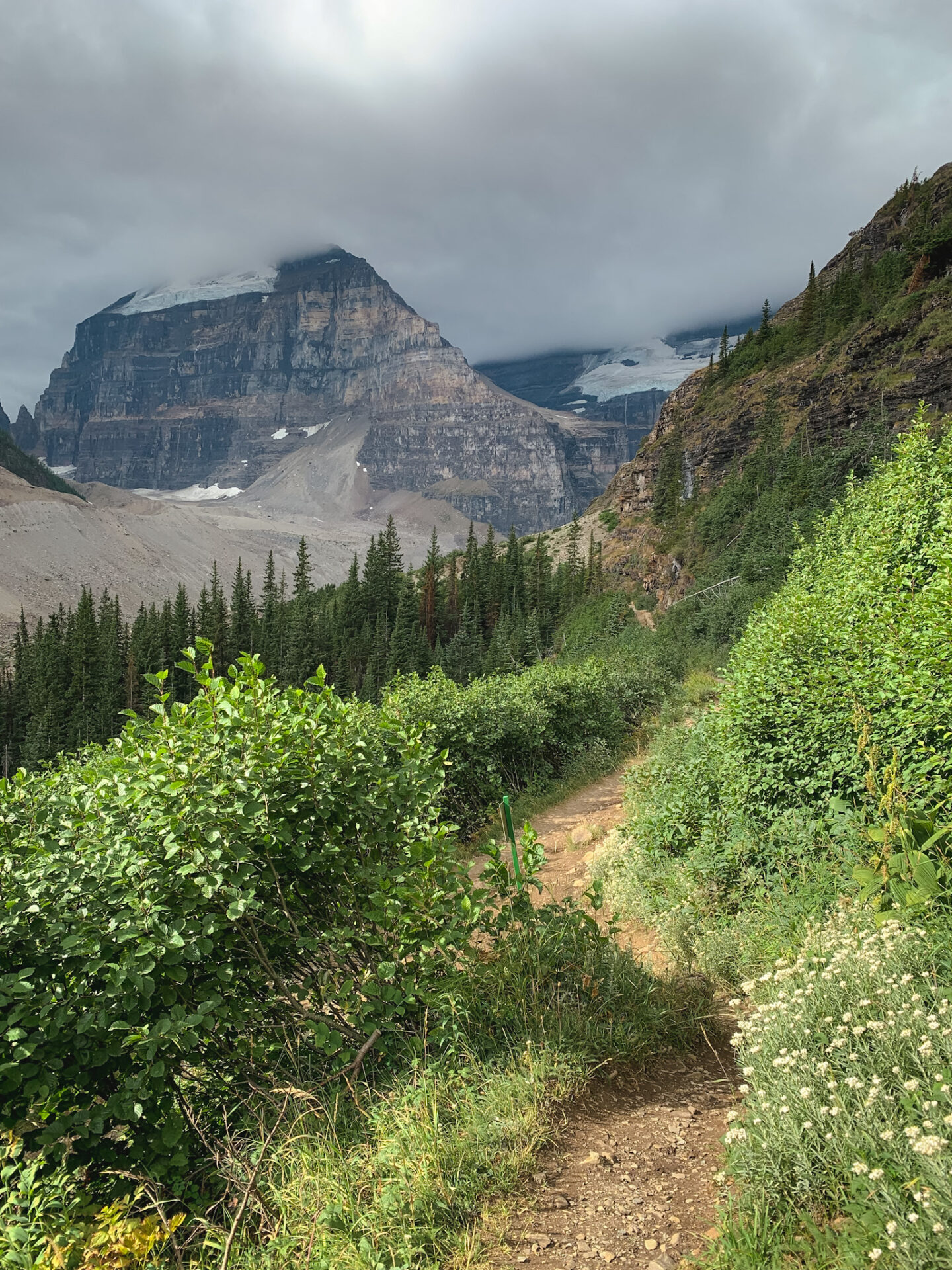 Plain of the Six Glaciers hiking trail in Lake Louise, Alberta