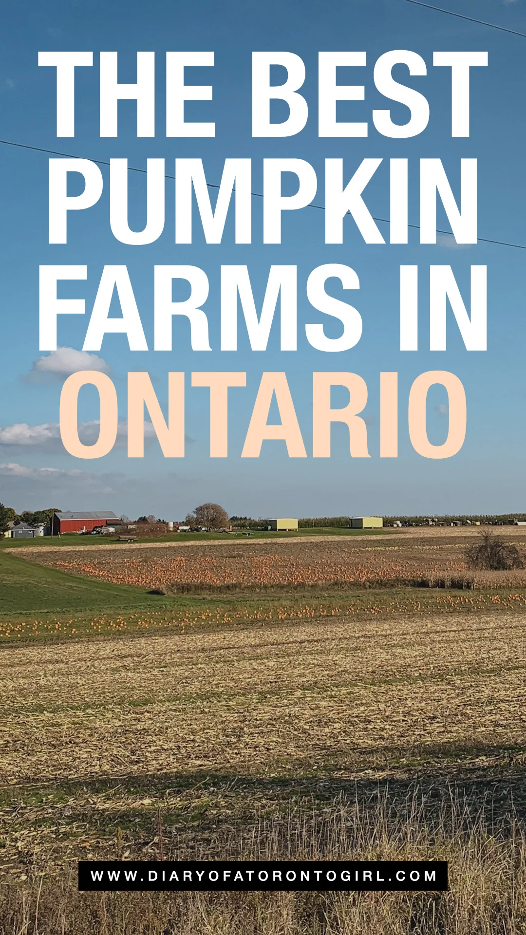 Best pumpkin farms in Ontario