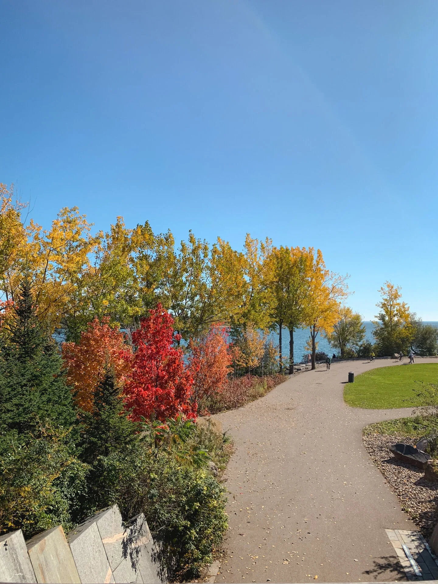 Fall colours and foliage at Trillium Park in Toronto