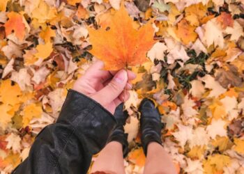 8 Best Places to See Fall Colours in Toronto