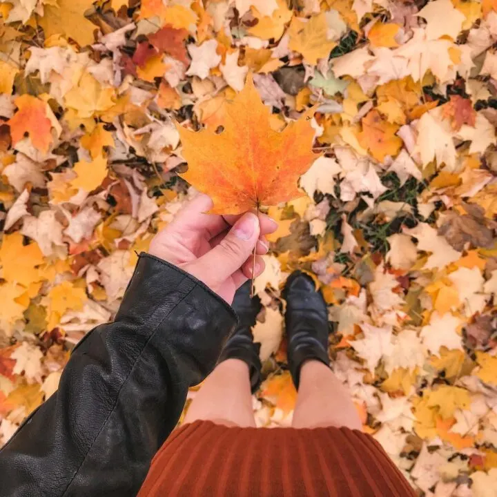 8 Best Places to See Fall Colours in Toronto