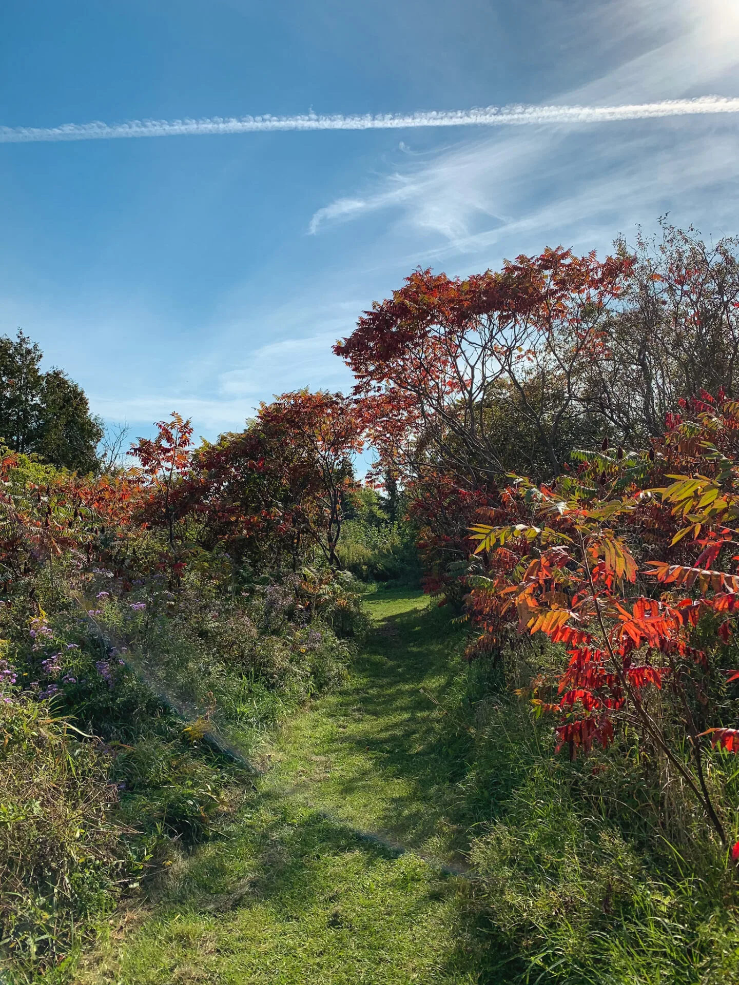 Hiking at the McLaughlin Bay Wildlife Reserve in Oshawa, Ontario