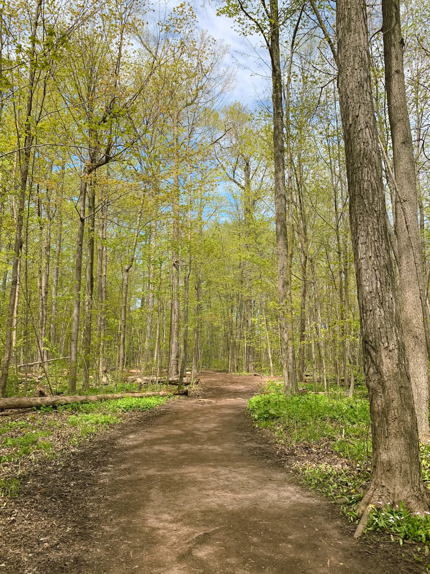 Sugarbush Heritage Park in Thornhill Woods, Vaughan, Ontario