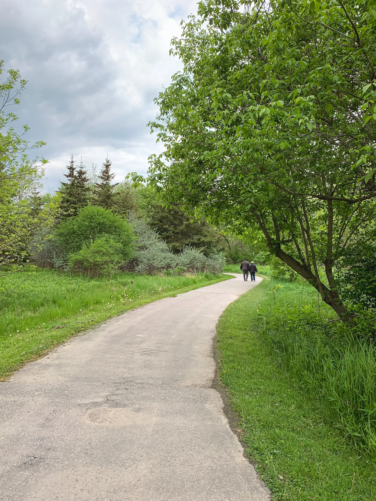 Toogood Pond Park walking trail in Markham, Ontario
