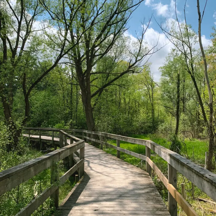 6 Best Hiking Trails in York Region