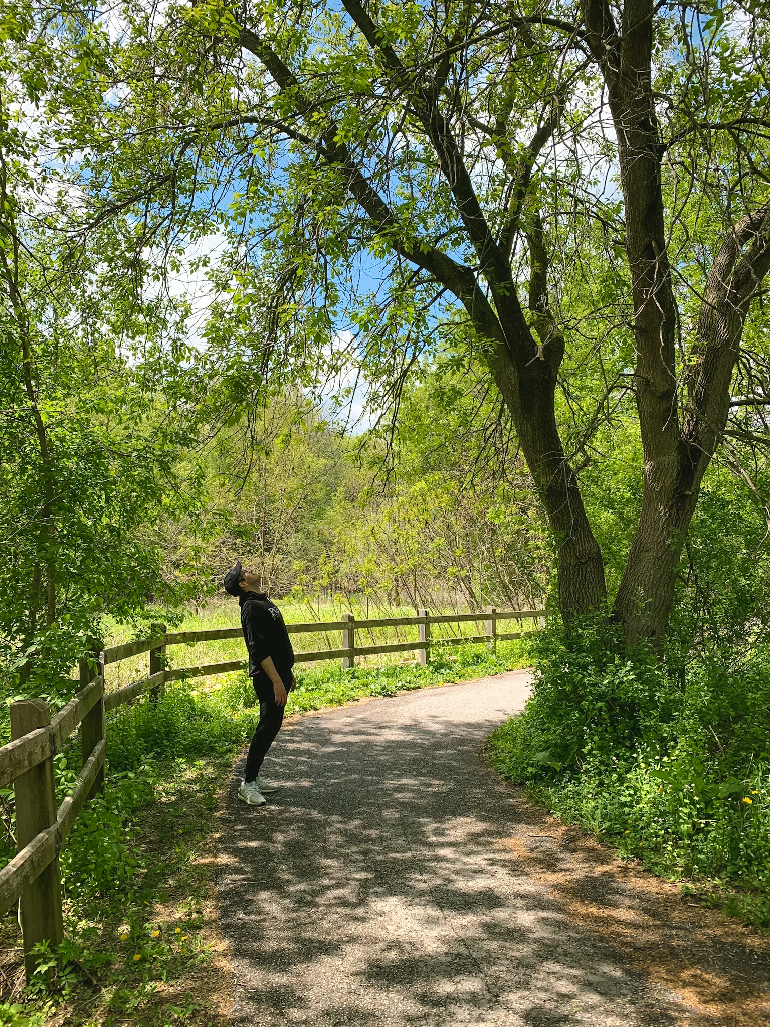 Saigeon Trail in Richmond Hill, Ontario