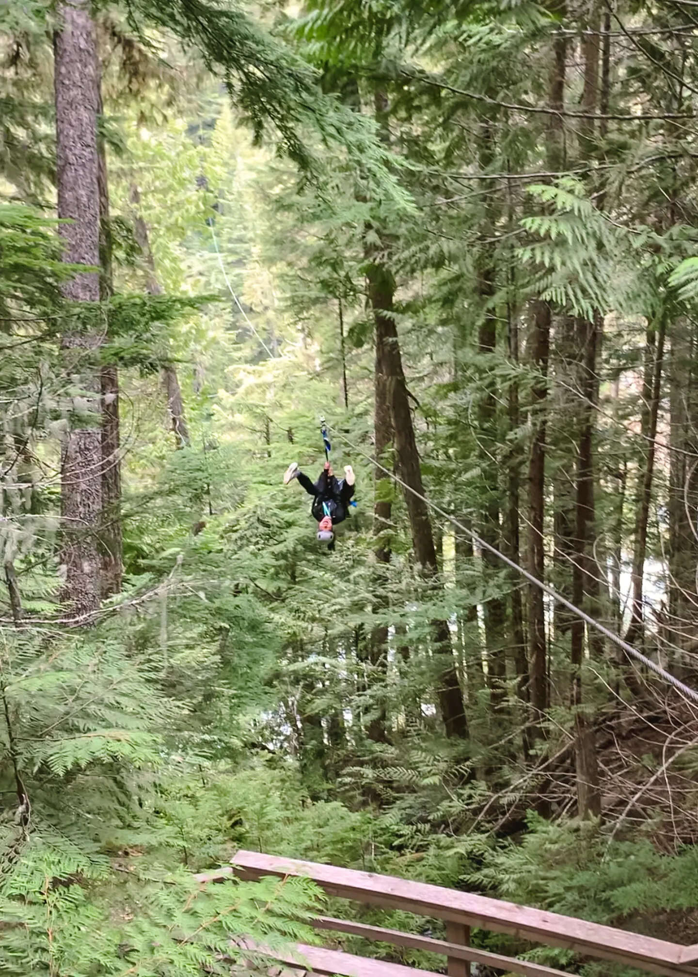 Eagle Tour zipline with Ziptrek Ecotours in Whistler, British Columbia