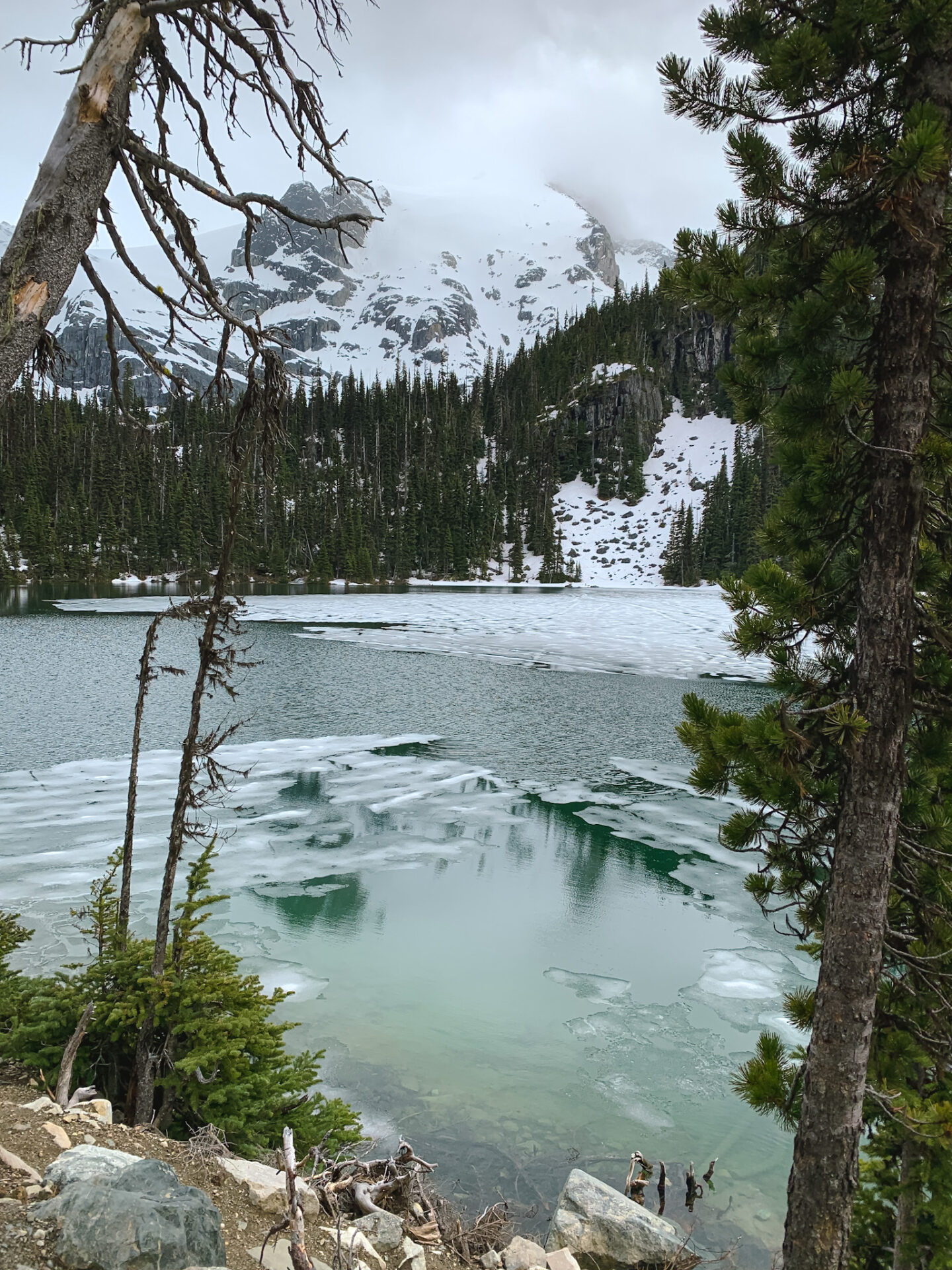 Hiking at Joffre Lakes Provincial Park in Mount Currie, British Columbia