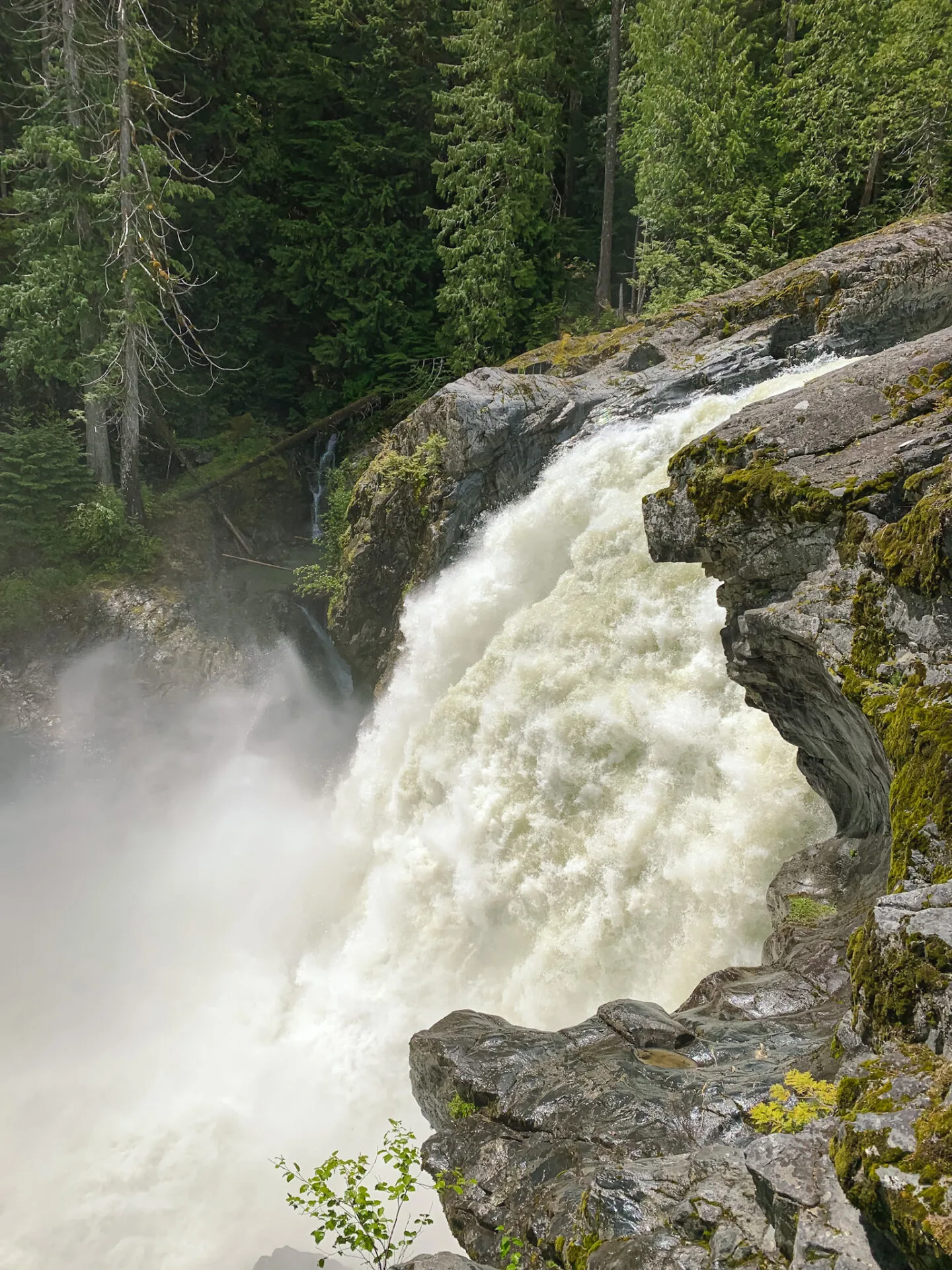 Hiking at Nairn Falls Provincial Park in Pemberton, British Columbia